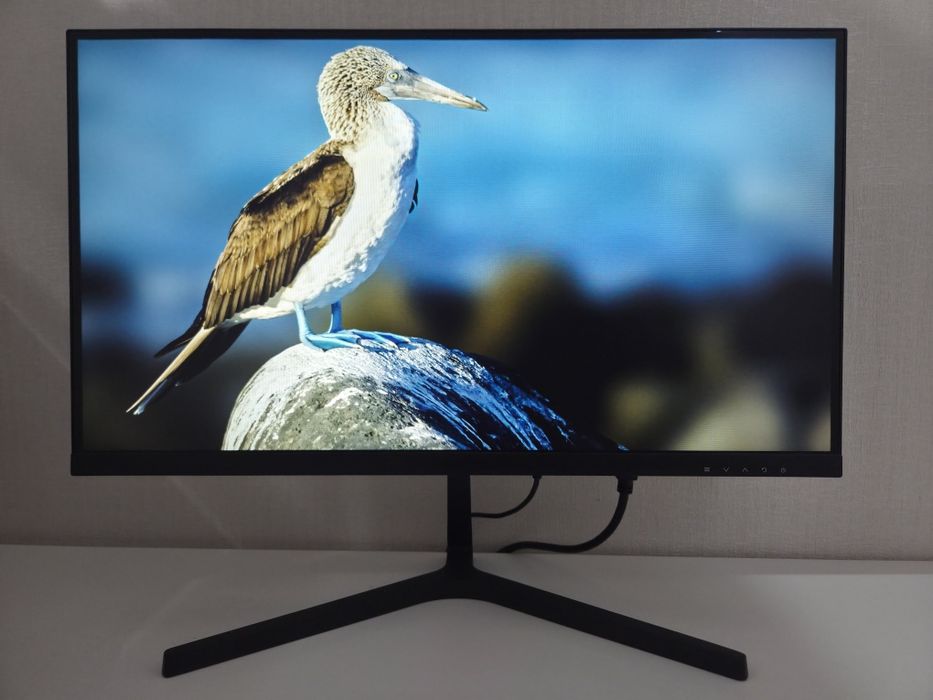 Монитор DEXP 21.5" Full HD 100Hz