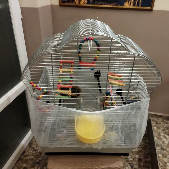 Оборудвана клетка за птици