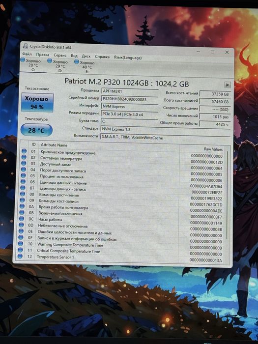 Ssd 1tb patriot