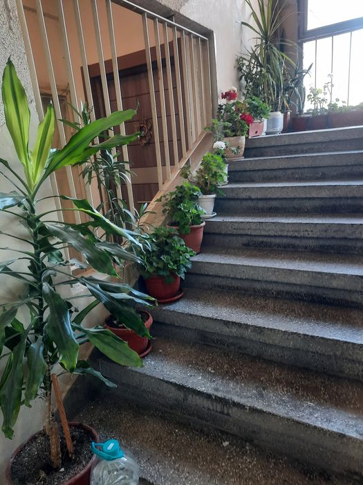 Профисонално почистване