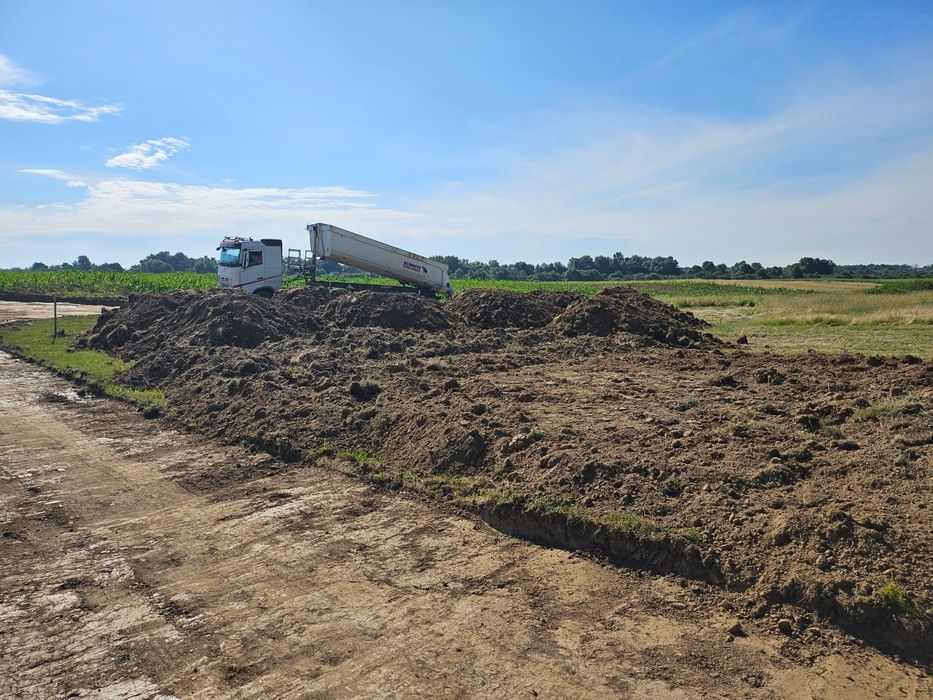 Teren de vânzare pădure Giroc