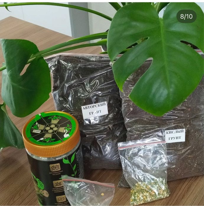 Грунт для комнатных растений