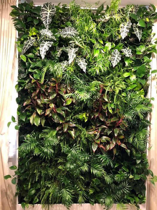 Фито стена озеленение искусственное цветы, суний гуллар ресторан офис