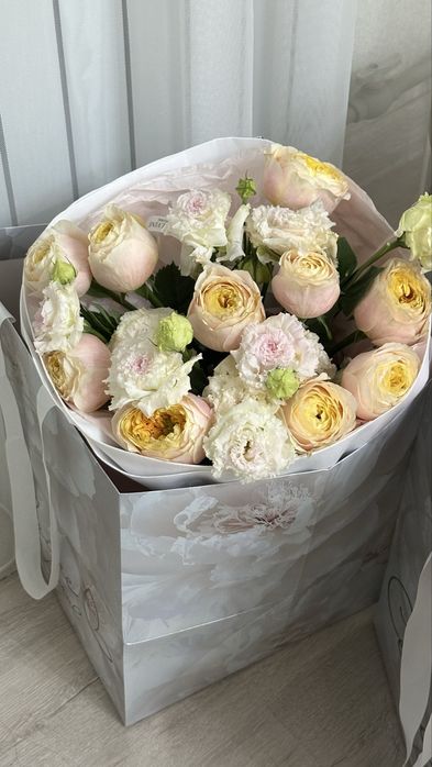 Свежий гул жана келген