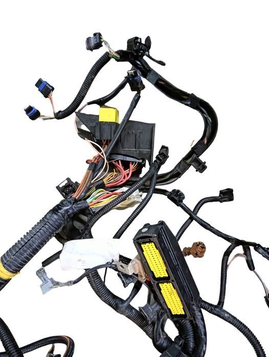Instalatie Electrica Usa Renault Symbol Ii [ 2008 - 2013 ]