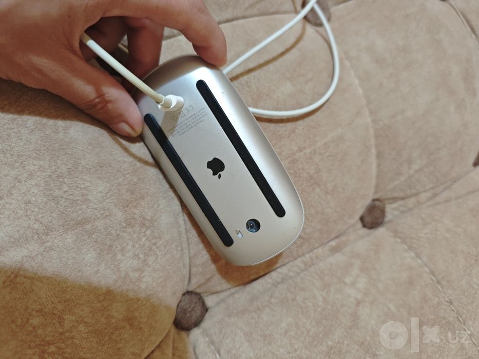 Magic mouse apple