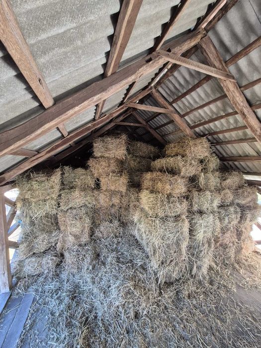 Vând baloți lucernă și fân – 15 lei/balot – Cuca, Argeș
