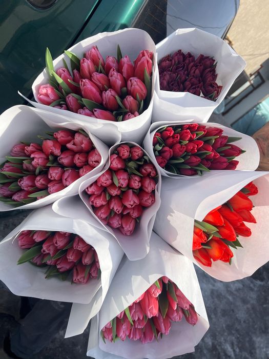 Тюльпаны на 8 марта