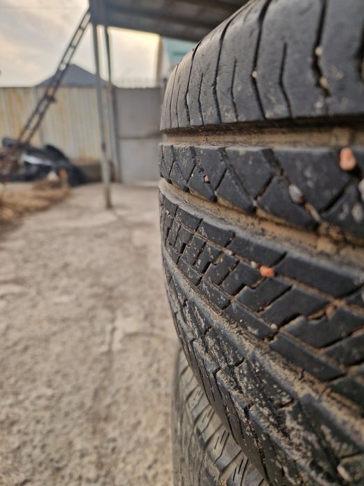 Резины летний в комплекте.