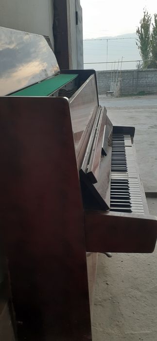 piyanina belaruz cccp