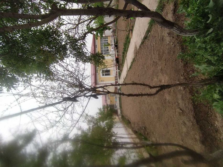 Намунали уй-жой Тинчлик массиви