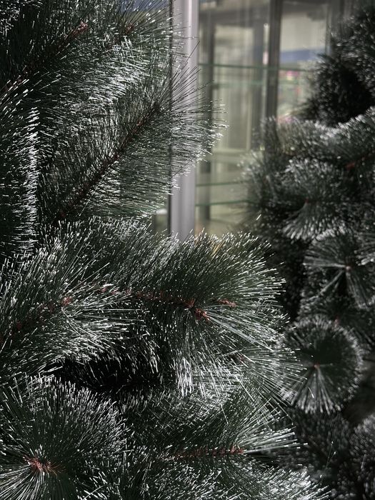 Елки искуственные Шыршалар