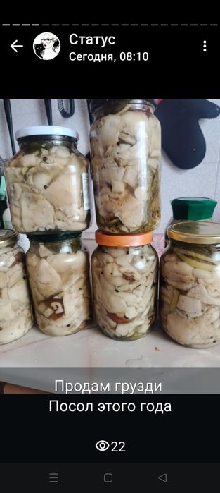 Продам грибы свежие  и соленые