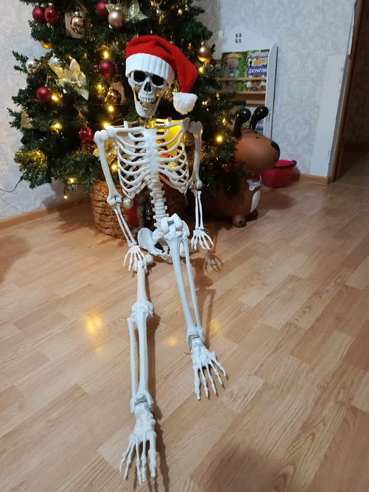 Скелет череп человека 90см.