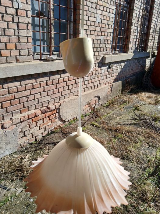 Полилей антика  два броя