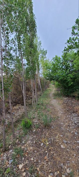 DACHA sotiladi suv Elektor bor