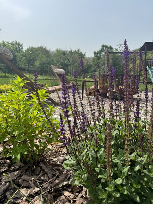 Ландшафтный дизайн