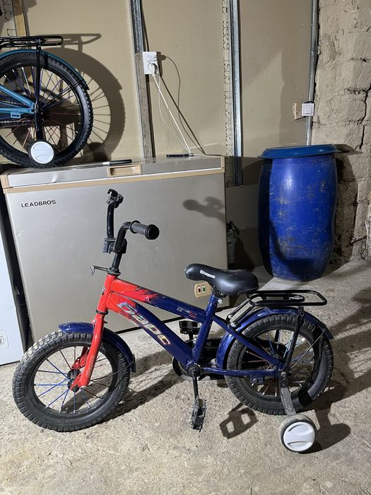 Велик барс новый