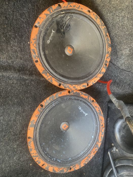 динамики калонки пара барракуда 20