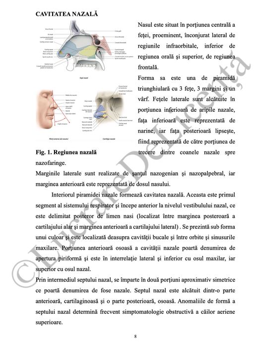 Îngrijirea pacientului cu TBC - PROIECT DE DIPLOMĂ AMG
