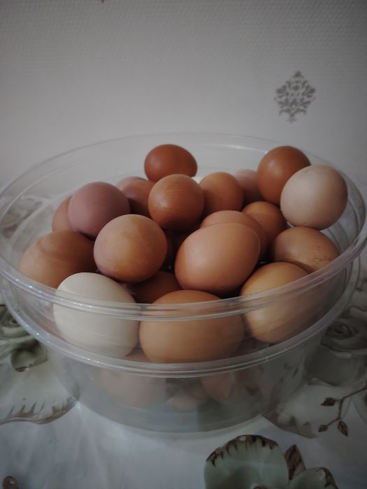 Продаются домашние яйца
