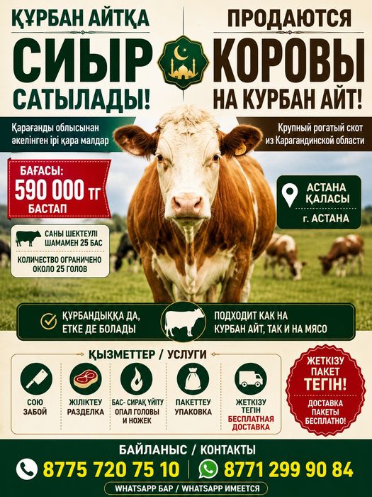 Сиыр, корова и бык сату. Скот, мал, животный