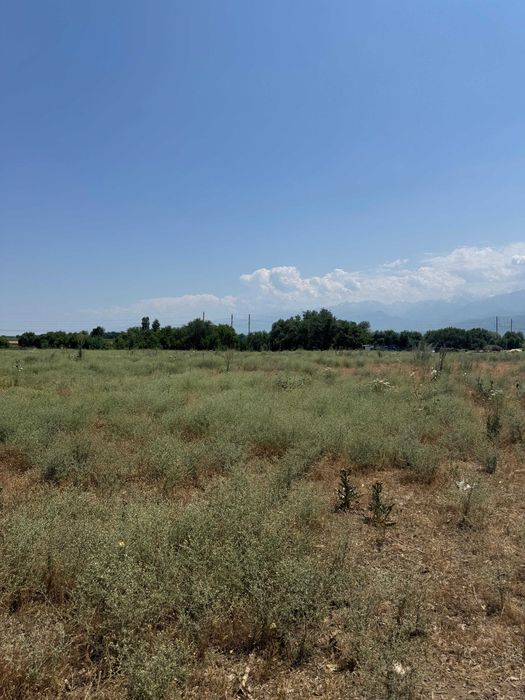 Продам участок Гульдала 3 га 25 соток