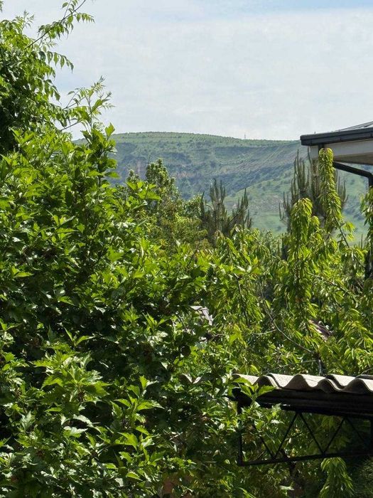 Oilaviy dam uchun Chorvoqda dacha/ Дача в Чарваке для Семейного Отдыха