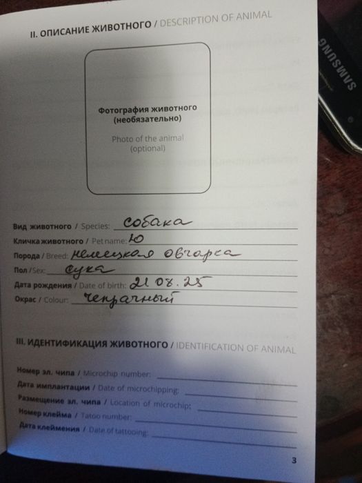 Немецкая овчарка