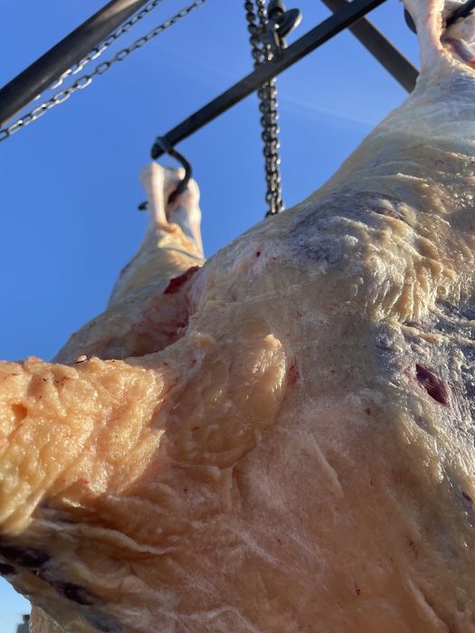 Қашар «Говядина» Ет Мясо  Семіз! Костанай-Рудный