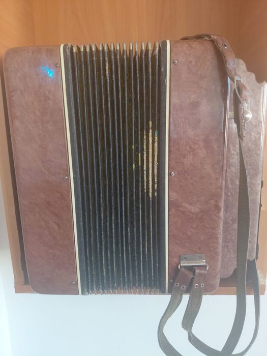 Баян жағдайы жақсы 60000 га