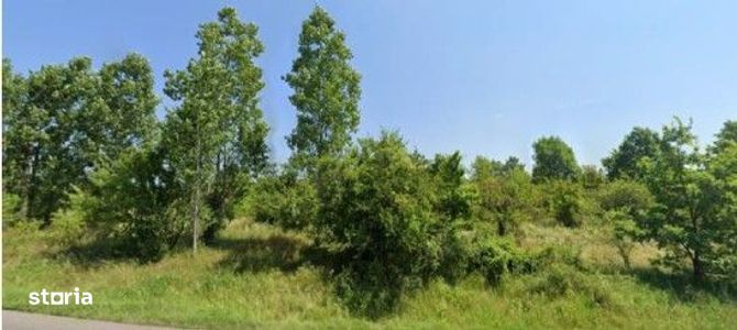 Teren cota parte 1/3 Cocorastii Mislii, ID: R2949920