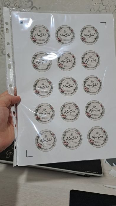 Silhouette Cameo 5 Alpha plotter + PixScan + Designer Edition / yangi