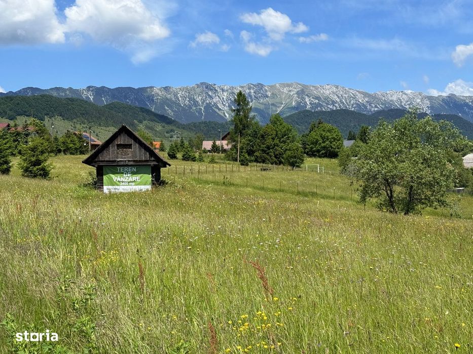 Teren Sirnea 3400 mp, intravilan, front la asfalt, zona Bran Moieciu
