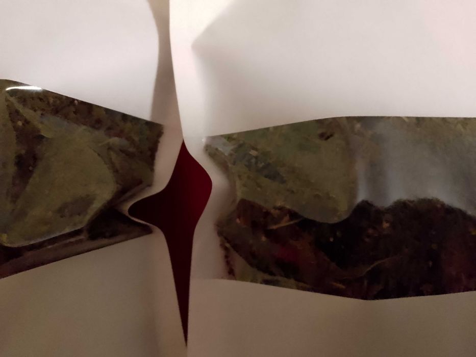 Menta DOAR FRUNZE de gradina