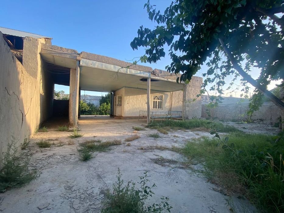 12 soʻtixli uchastka