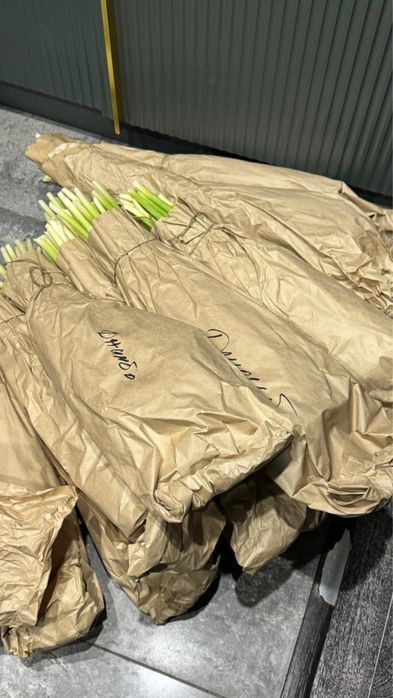 Тюльпаны свежие не открытые