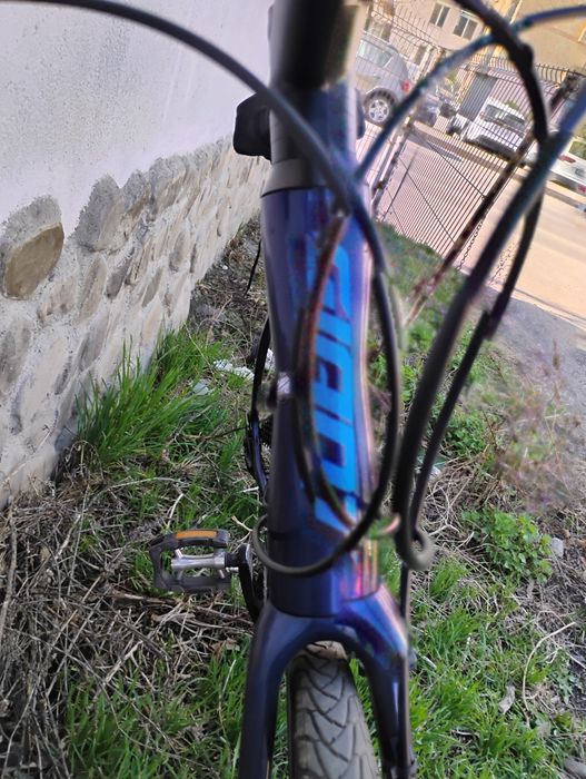 Bicicleta Giant City and Trecking