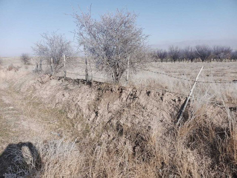 Rasmdahi korinishdagi bog' sotiladi kelishuv asosida