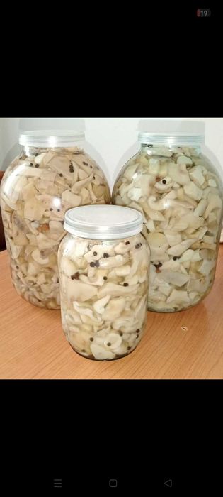Продам грибы валуи и грузди