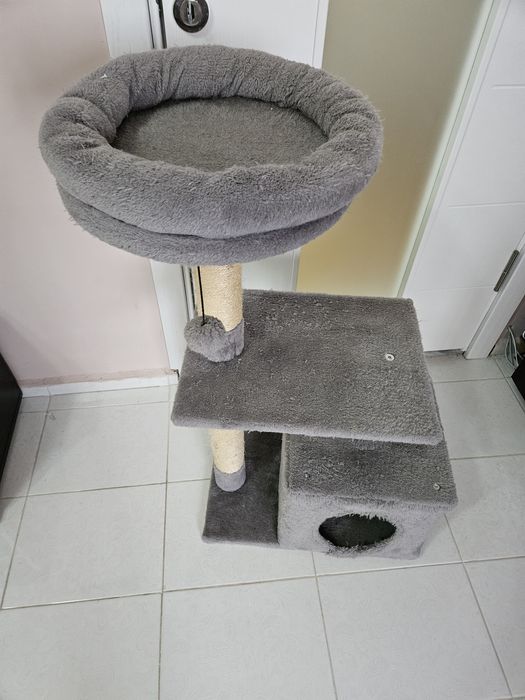 Котешка катерушка