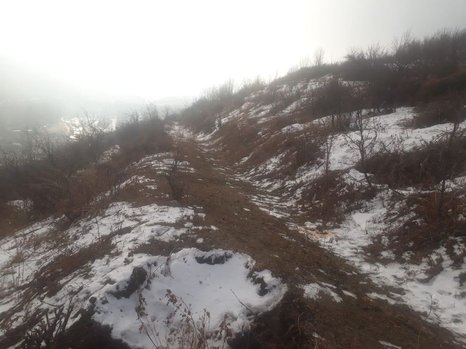 продам  сад срочно