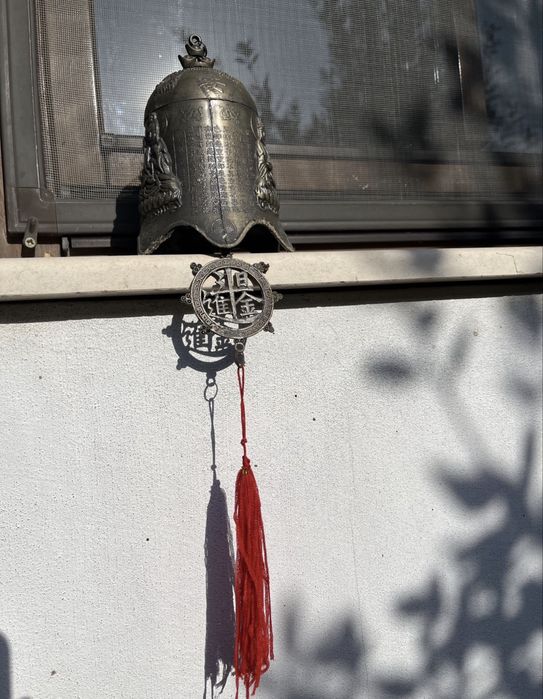 Продавам китайска  хлопка 25€