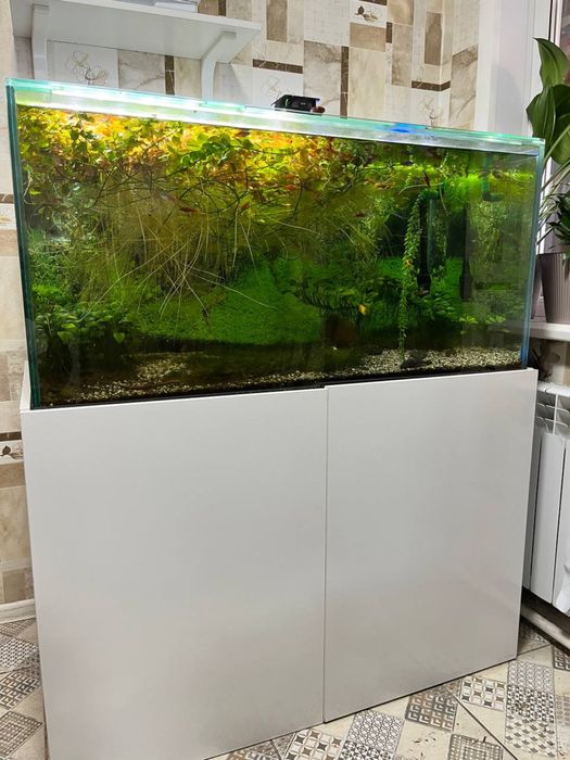 Аквариум с рыбками