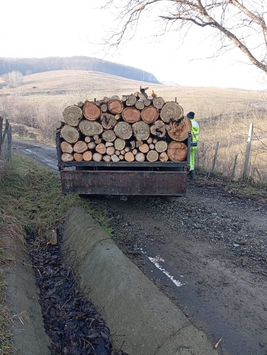 Lemn de foc  esență  tare