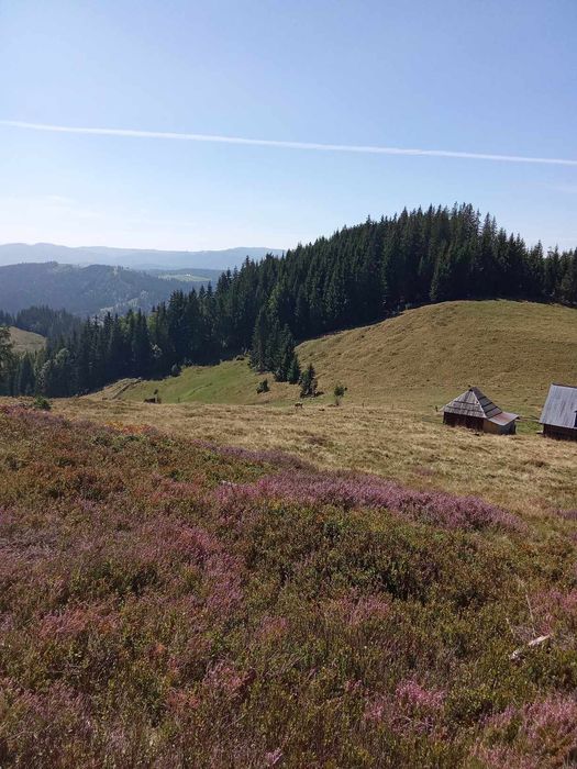 Teren de vânzare locație deosebită la munte
