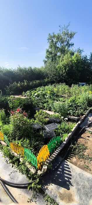 Продам дачу. Золотая осень