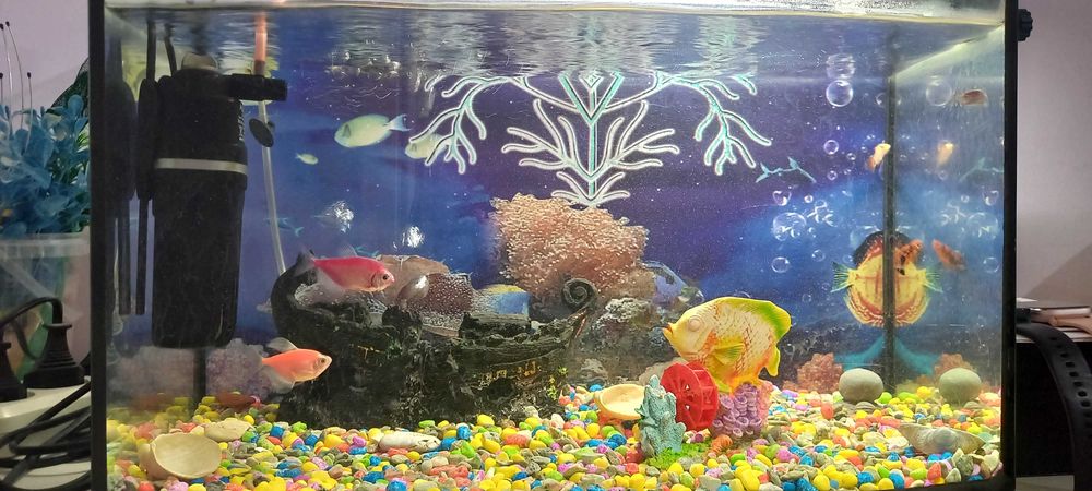 аквариум сатылады.