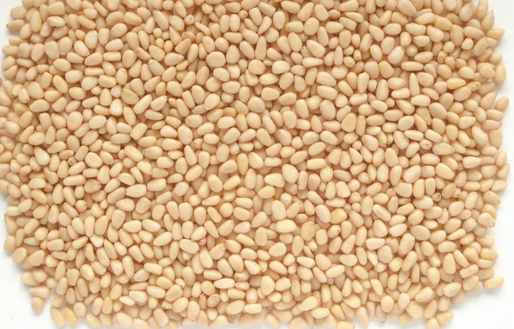 Ядро кедрового ореха