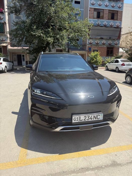 Bvd chimoyon 2024 yil